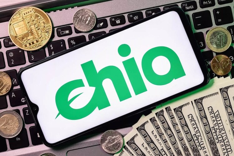 Chia крепнет вопреки падению крипторынка: майнеры вложили уже 10 Эбайт, а инвесторы готовы дать $0,5 млрд - «Новости сети»