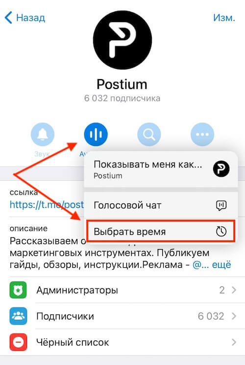 Голосовые тг канал. Голосовой чат. Голосовой чат телеграм. Голосовое в телеграмме. Настройки голосового чата в телеграмм.