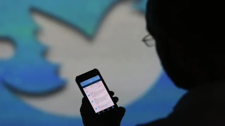 После реформ Илона Маска Twitter предложит три типа учётных записей — официальные, с купленной синей галочкой и обычные - «Новости сети»