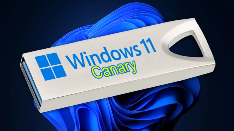 Microsoft бесплатно отправит флешки самым большим поклонникам Windows 11 - «Новости сети»
